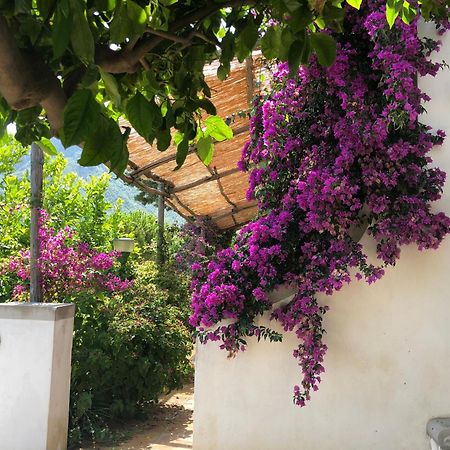 Bed and Breakfast Casa Flora Vietri Exterior foto