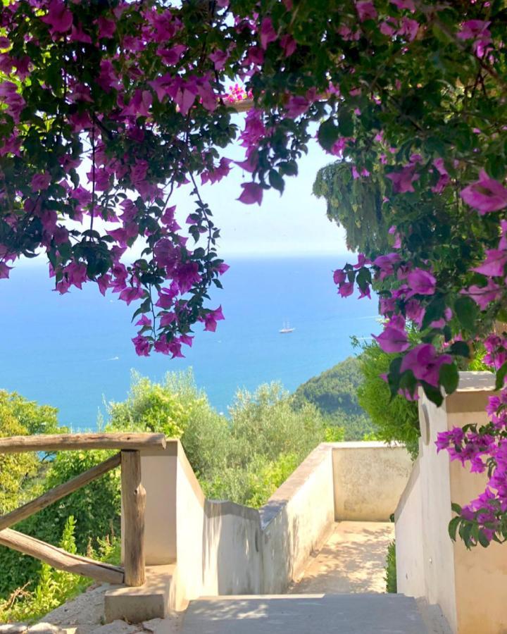 Bed and Breakfast Casa Flora Vietri Exterior foto