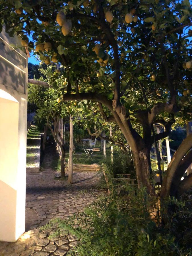 Bed and Breakfast Casa Flora Vietri Exterior foto