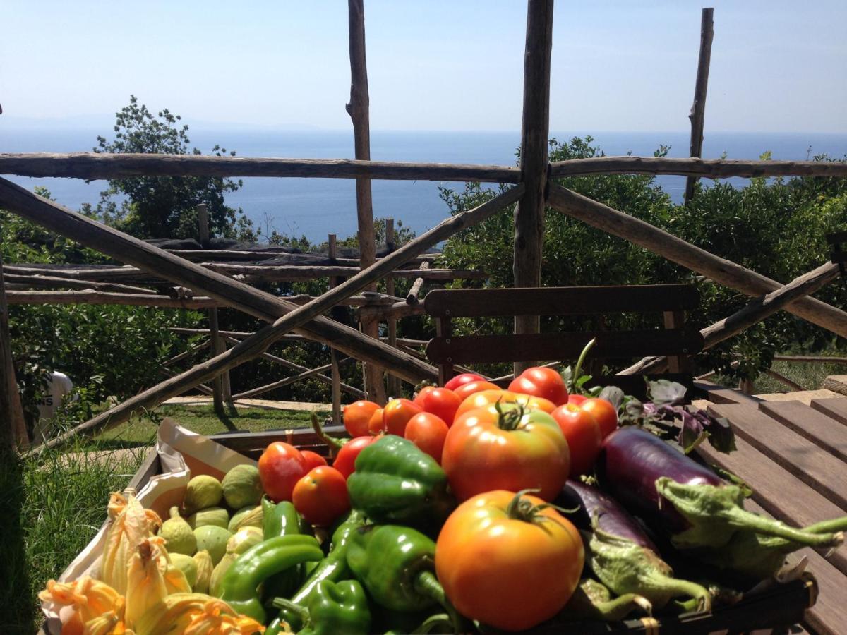 Bed and Breakfast Casa Flora Vietri Exterior foto